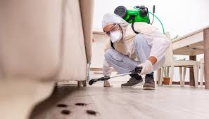 Emergency Pest Control Services in Horseshoe Bay, TX